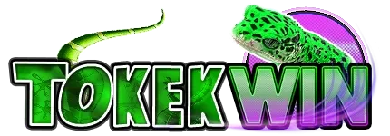tokekwin — Pusat Unduh APK Indonesia